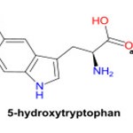 5-HTP – triển vọng mới cho hội chứng ruột kích thích